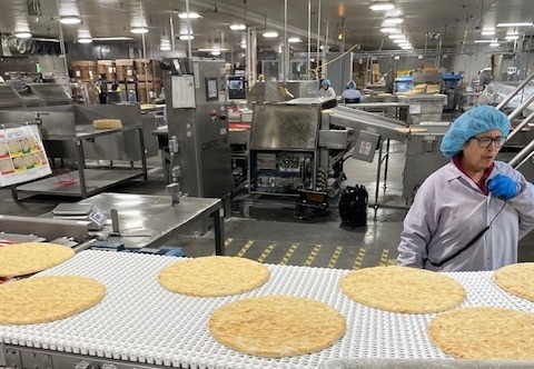 pizza manufacturing