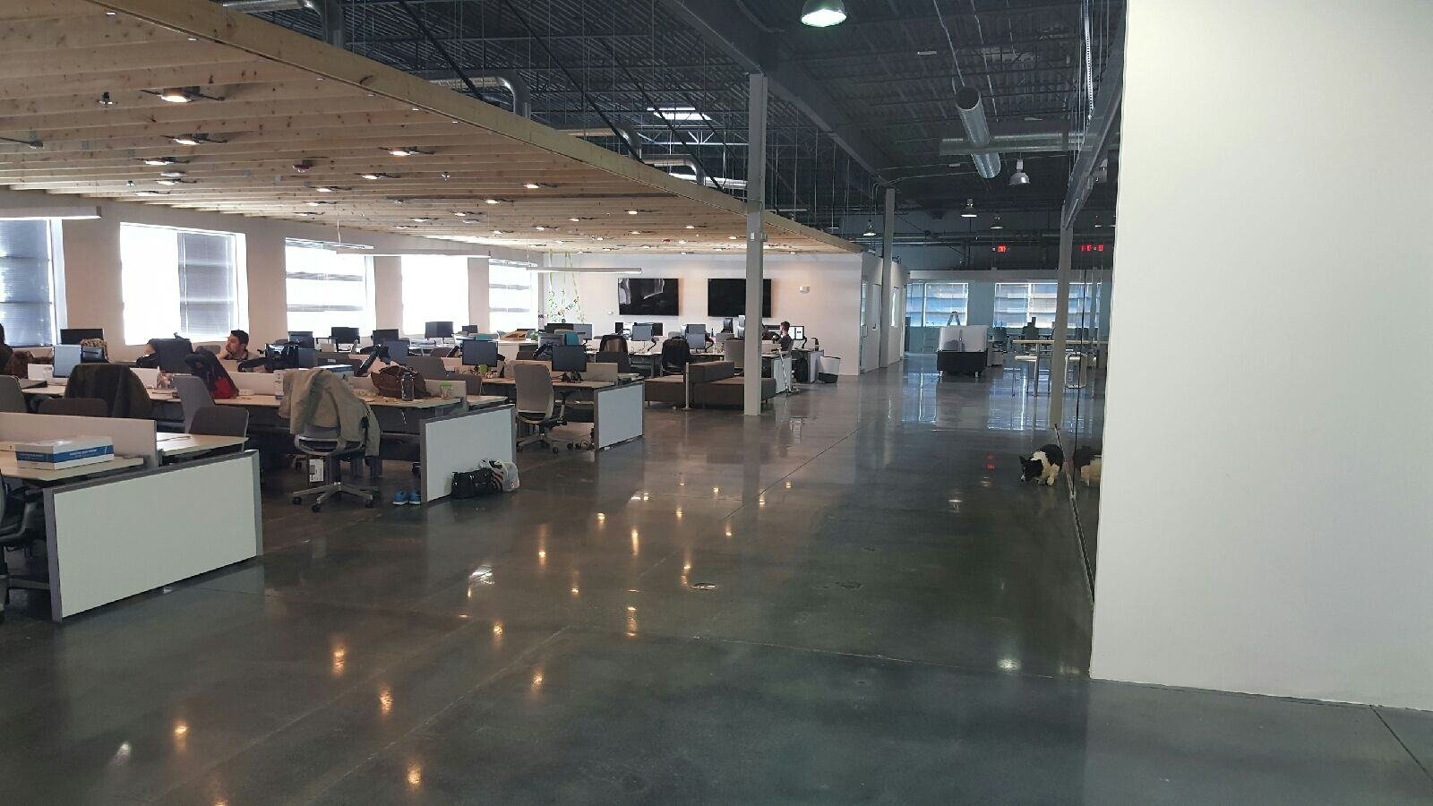 polished concrete in an office