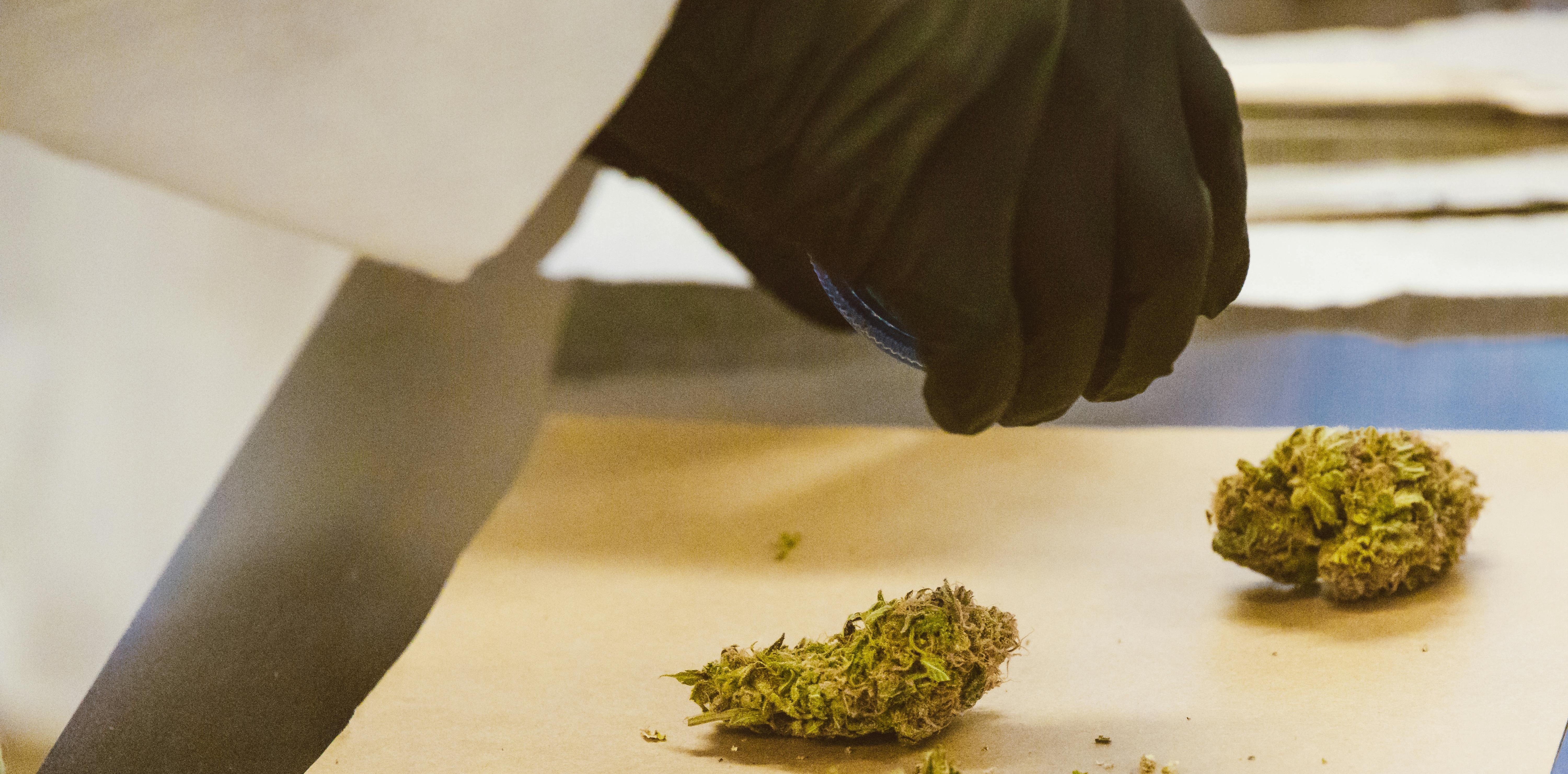 Cannabis facility